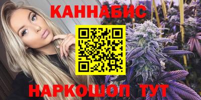 сатива Малгобек