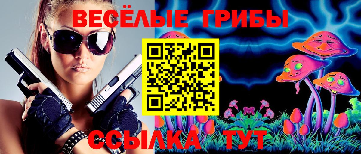 Галлюциногенные грибы Psilocybine cubensis Янаул