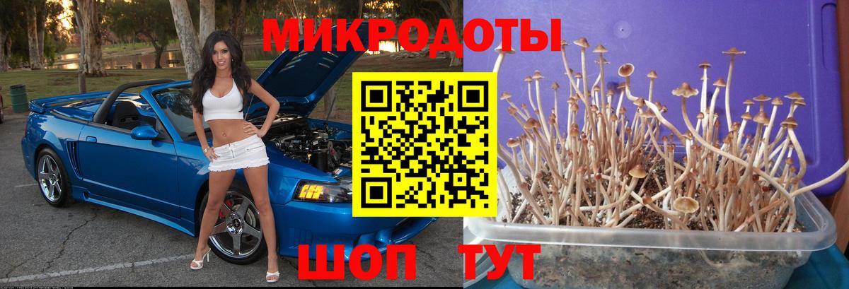 Янаул  Псилоцибиновые грибы MAGIC MUSHROOMS  Вход с VPN 